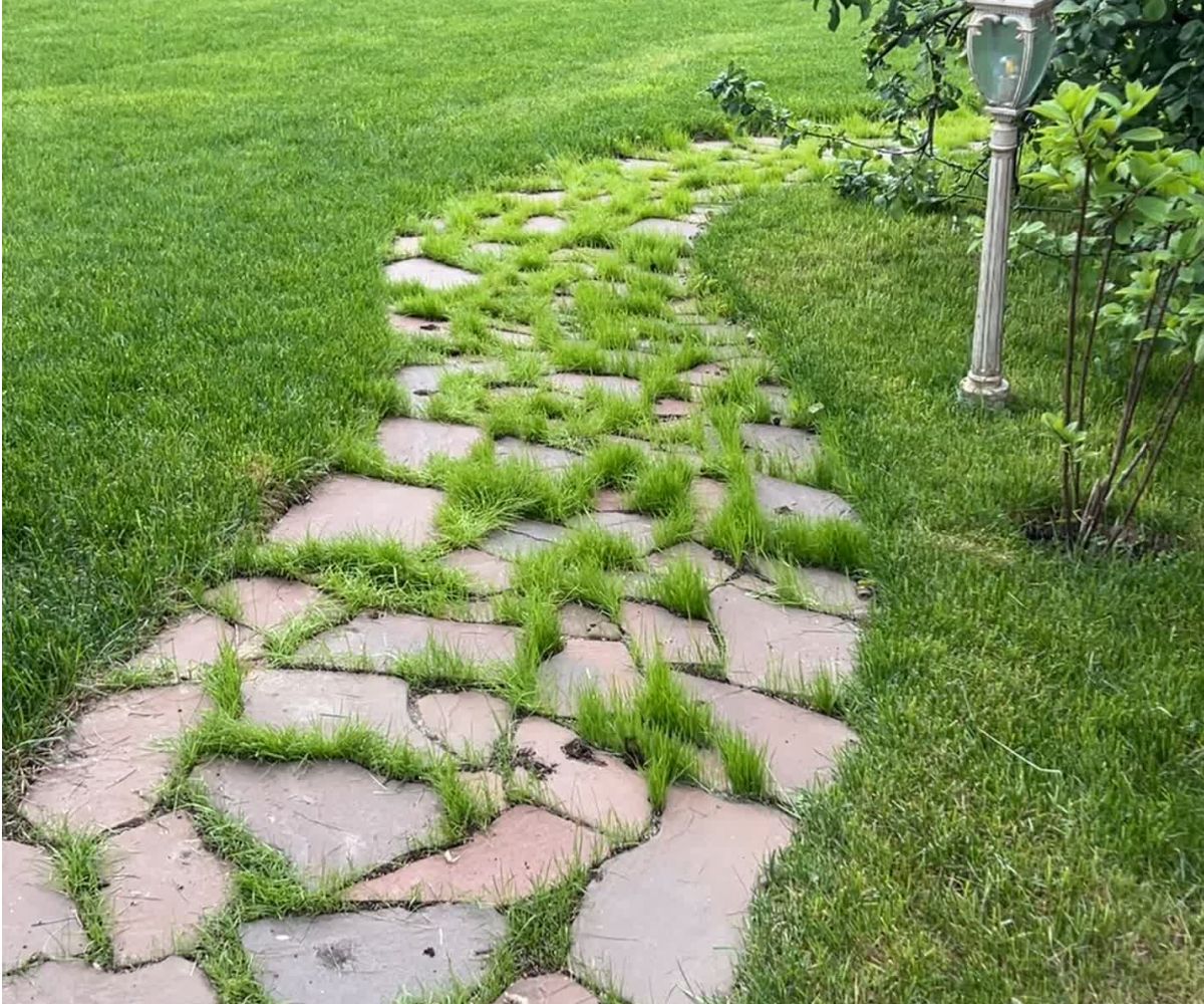 Из плитняка